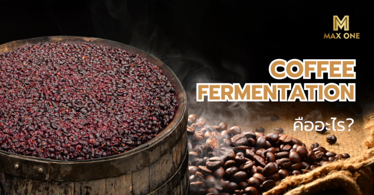 Coffee Fermentation คืออะไร?