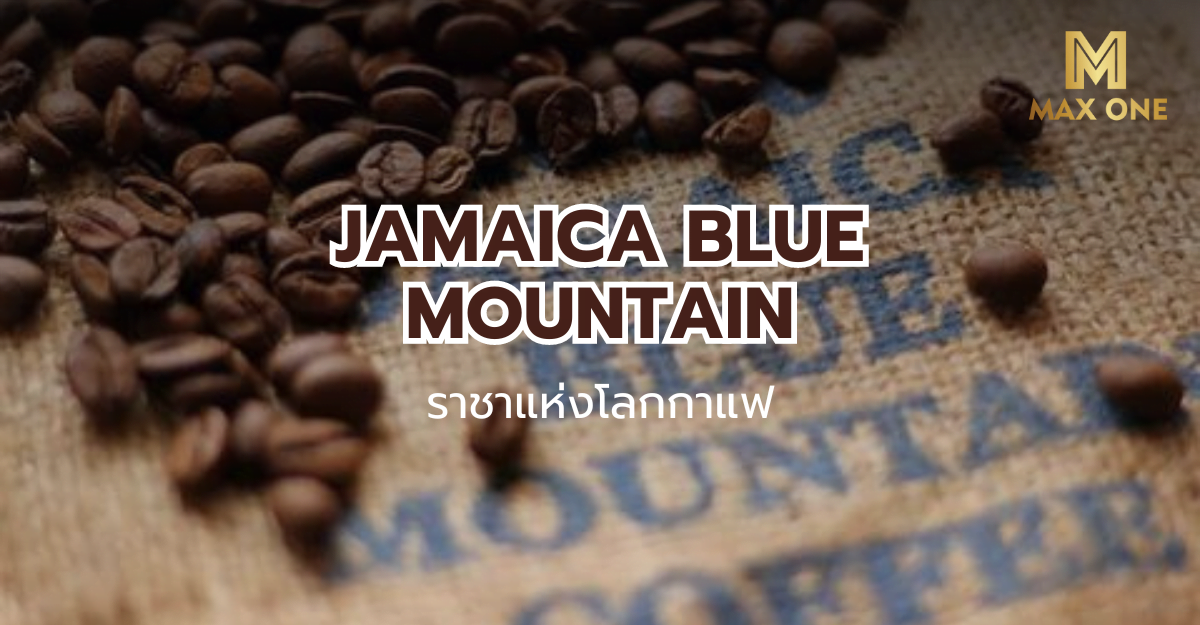 Jamaica Blue Mountain ราชาแห่งโลกกาแฟ