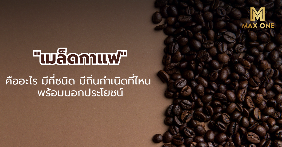 เมล็ดกาแฟ คืออะไร มีกี่ชนิด มีถิ่นกำเนิดที่ไหน พร้อมบอกประโยชน์