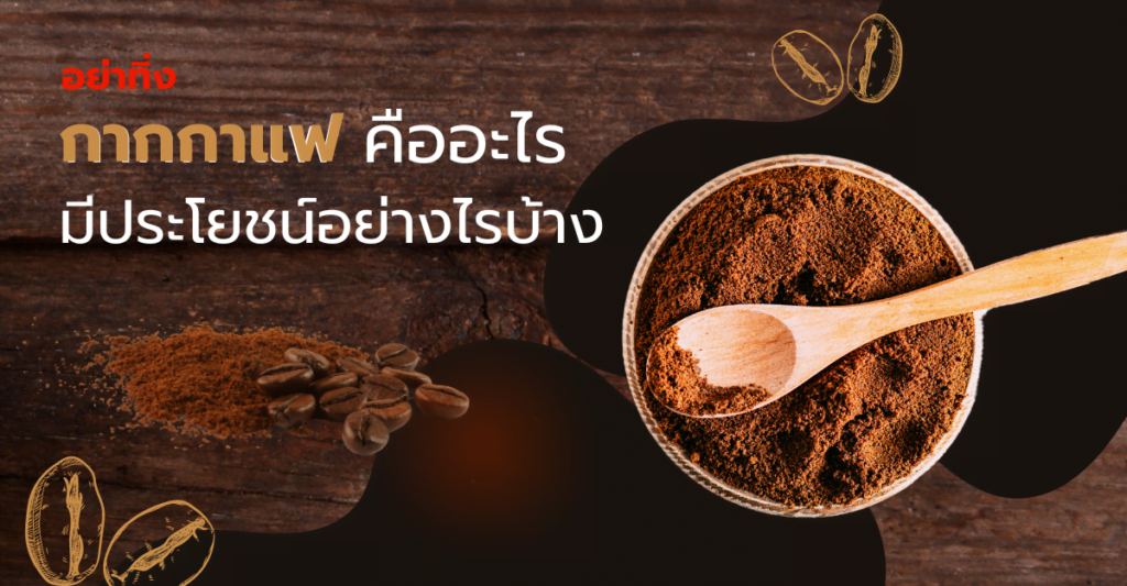 กากกาแฟ คืออะไร มีประโยชน์อย่างไรบ้าง