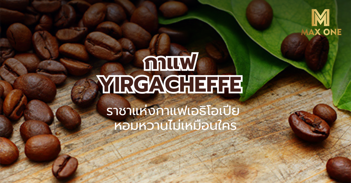 กาแฟ Yirgacheffe ราชาแห่งกาแฟเอธิโอเปีย หอมหวานไม่เหมือนใคร
